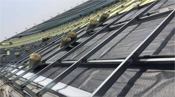 ����鿴����