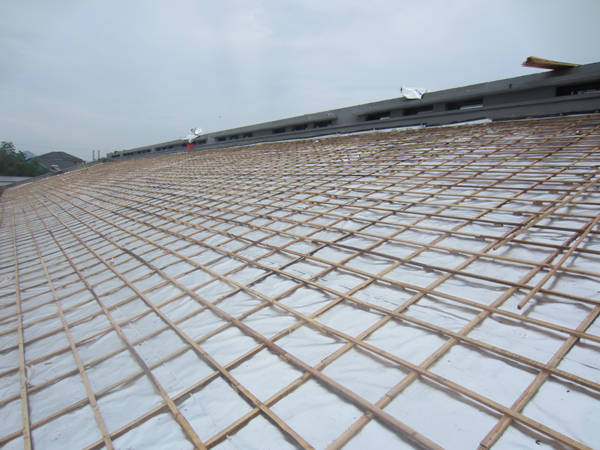 ����鿴����