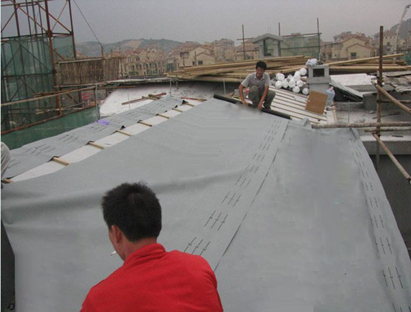 ����鿴����