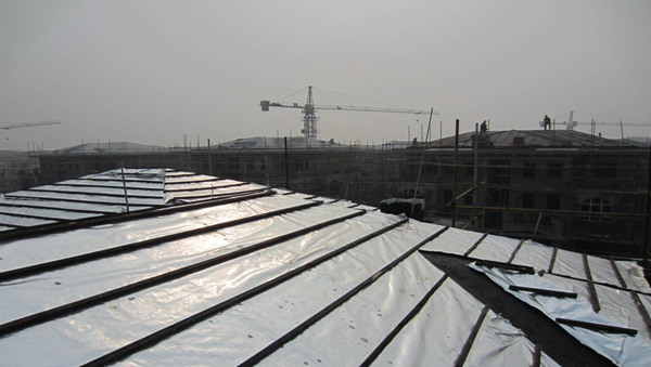 ����鿴����