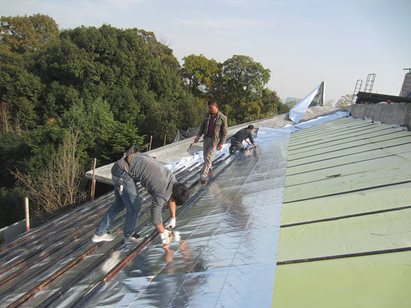 ����鿴����