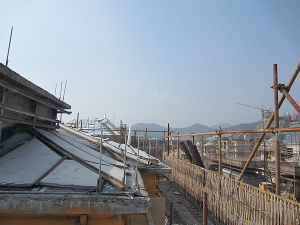 ����鿴����