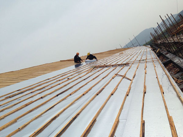 ����鿴����