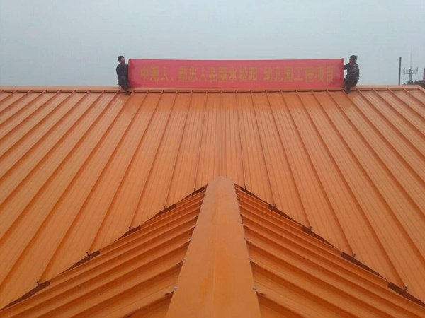 ����鿴����