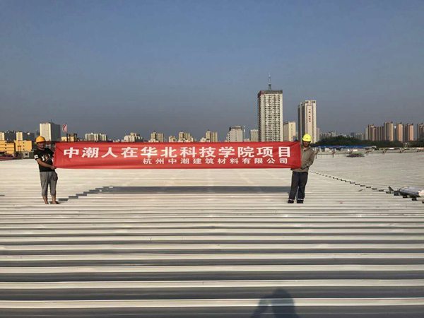 ����鿴����